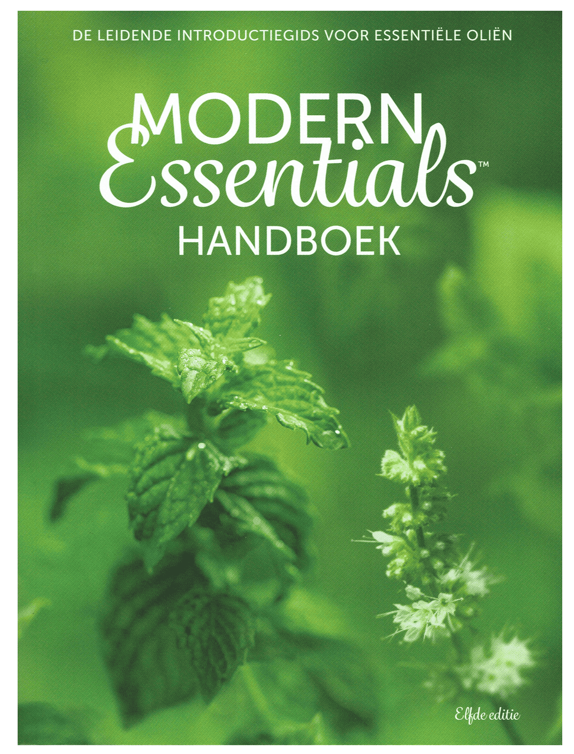 modern essentials handboek